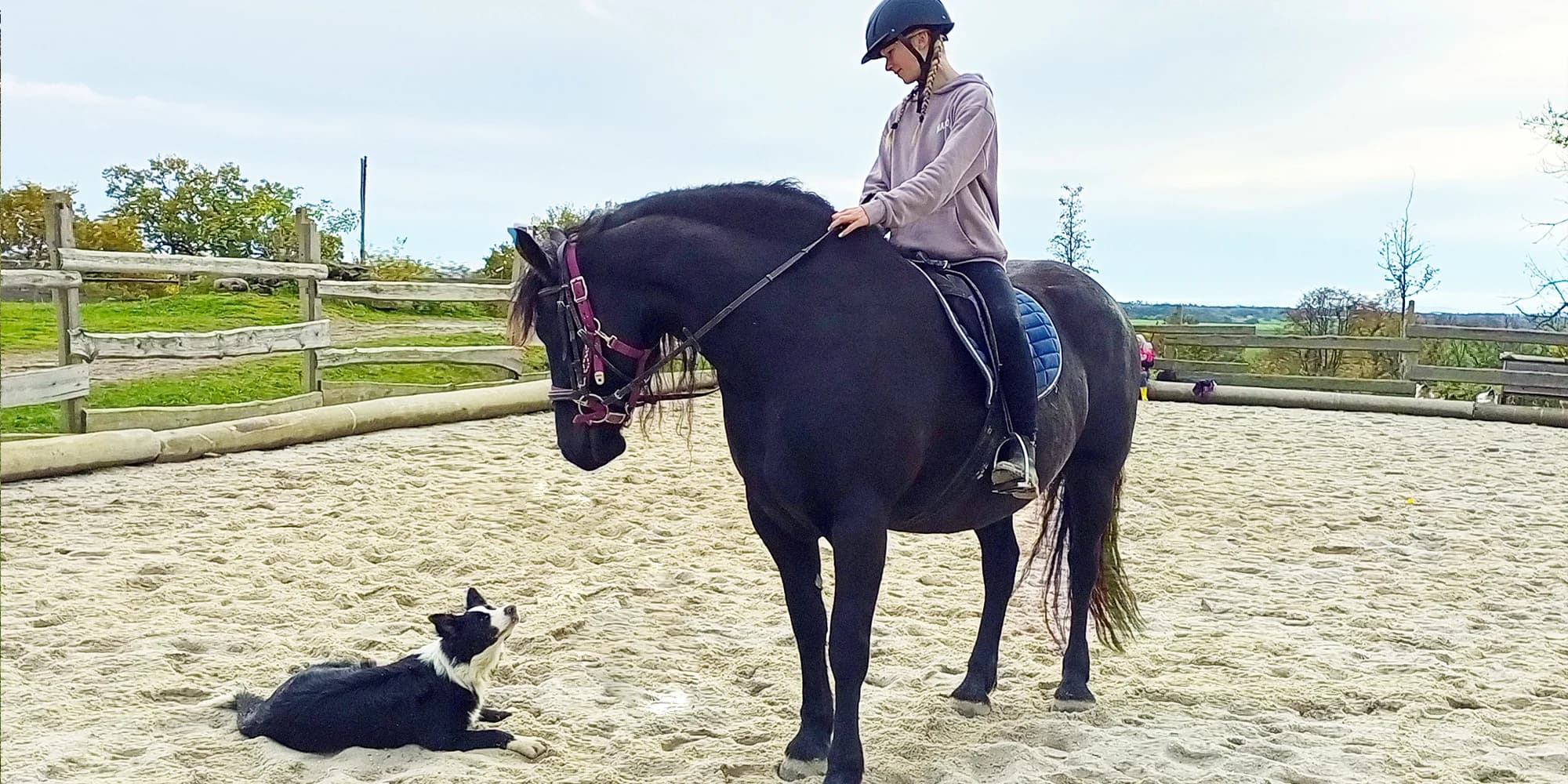 Farmářem na zkoušku: den na statku, jízda na koni a v traktoru, práce se zvířaty