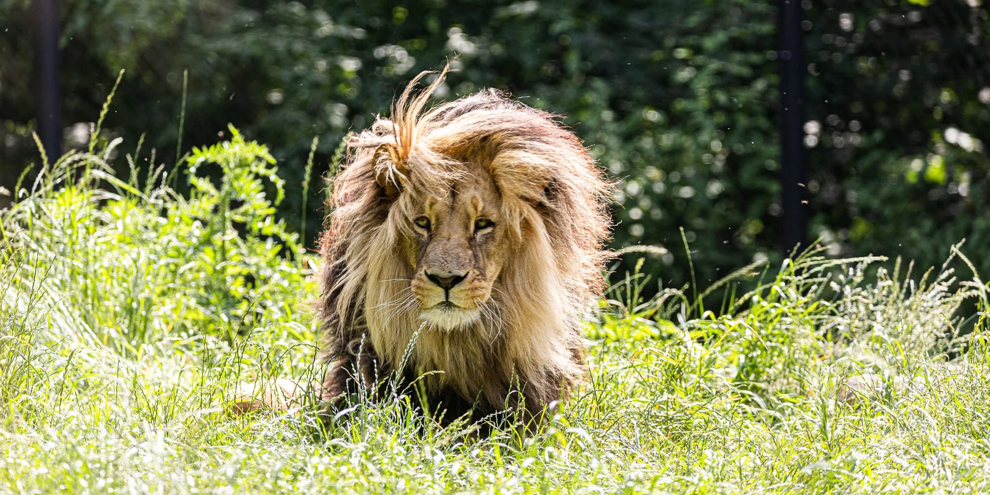 Jednodenní fotokurz v zoo: Olomouc, Brno, Vyškov, Hodonín či Ostrava