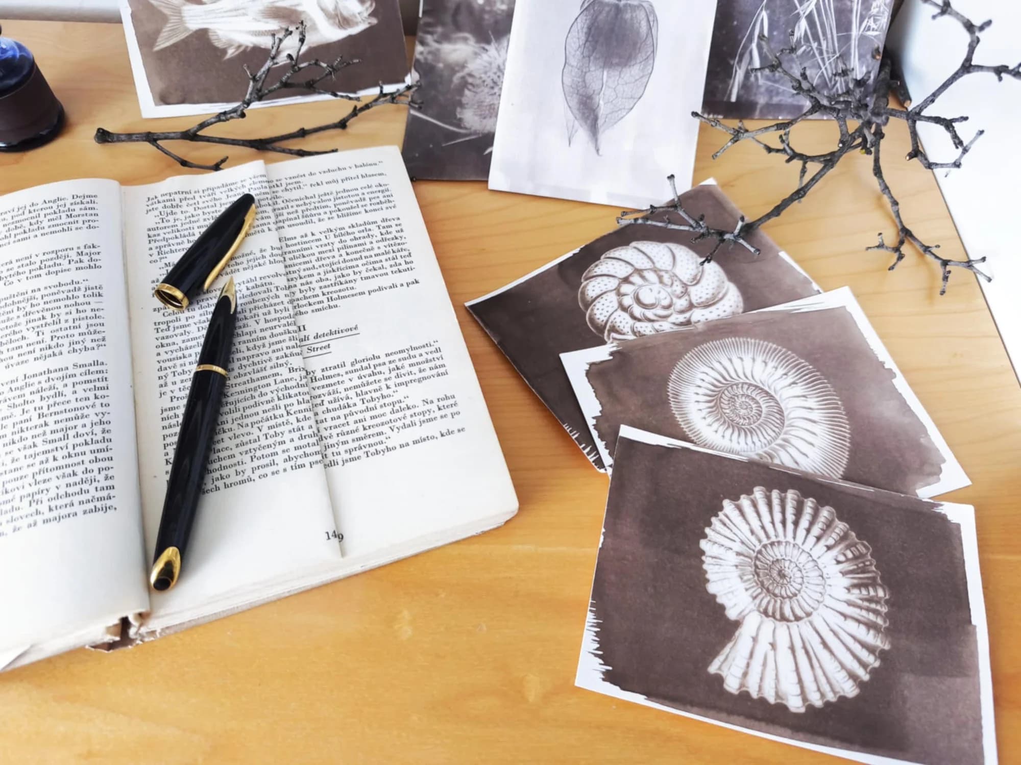 Umění staré fotografie: Workshop techniky Van Dyke Brown a knižní vazby pro 1 i 2 os.