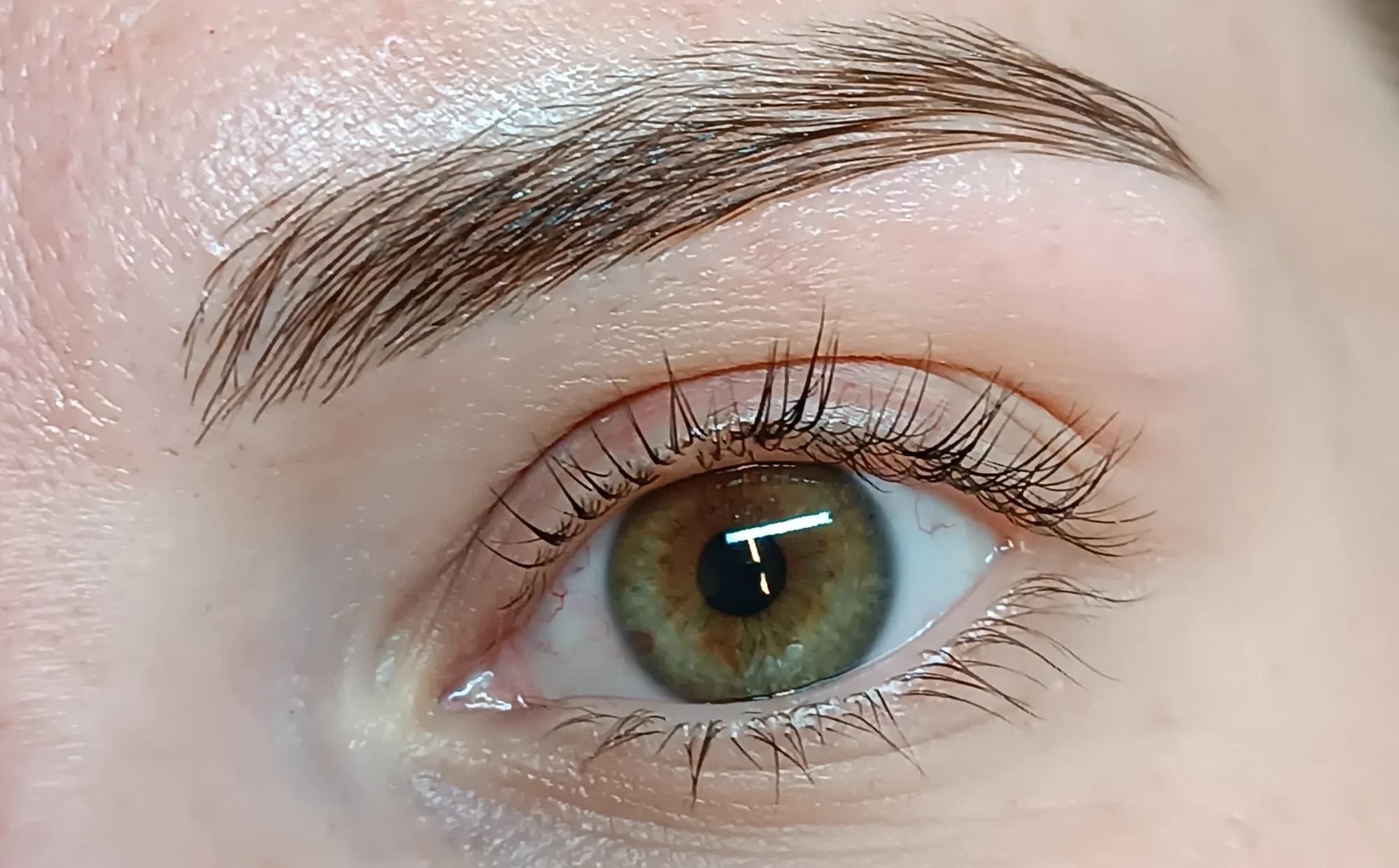 Krásný pohled bez řasenky a tužky: úprava či laminace obočí a lash lifting řas vč. barvení