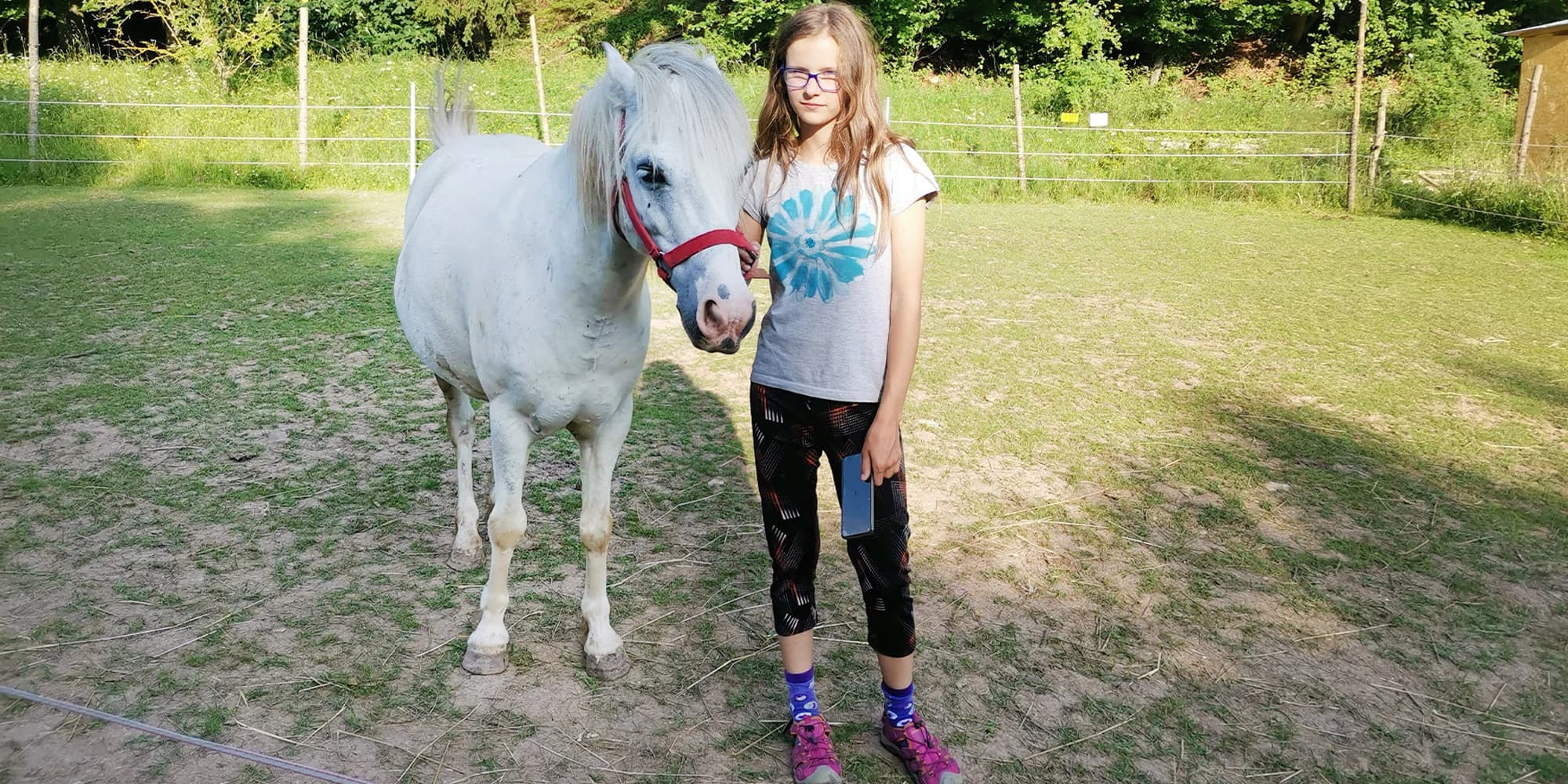 40min. procházka s koněm či poníkem: ježdění či vodění pro děti i dospělé