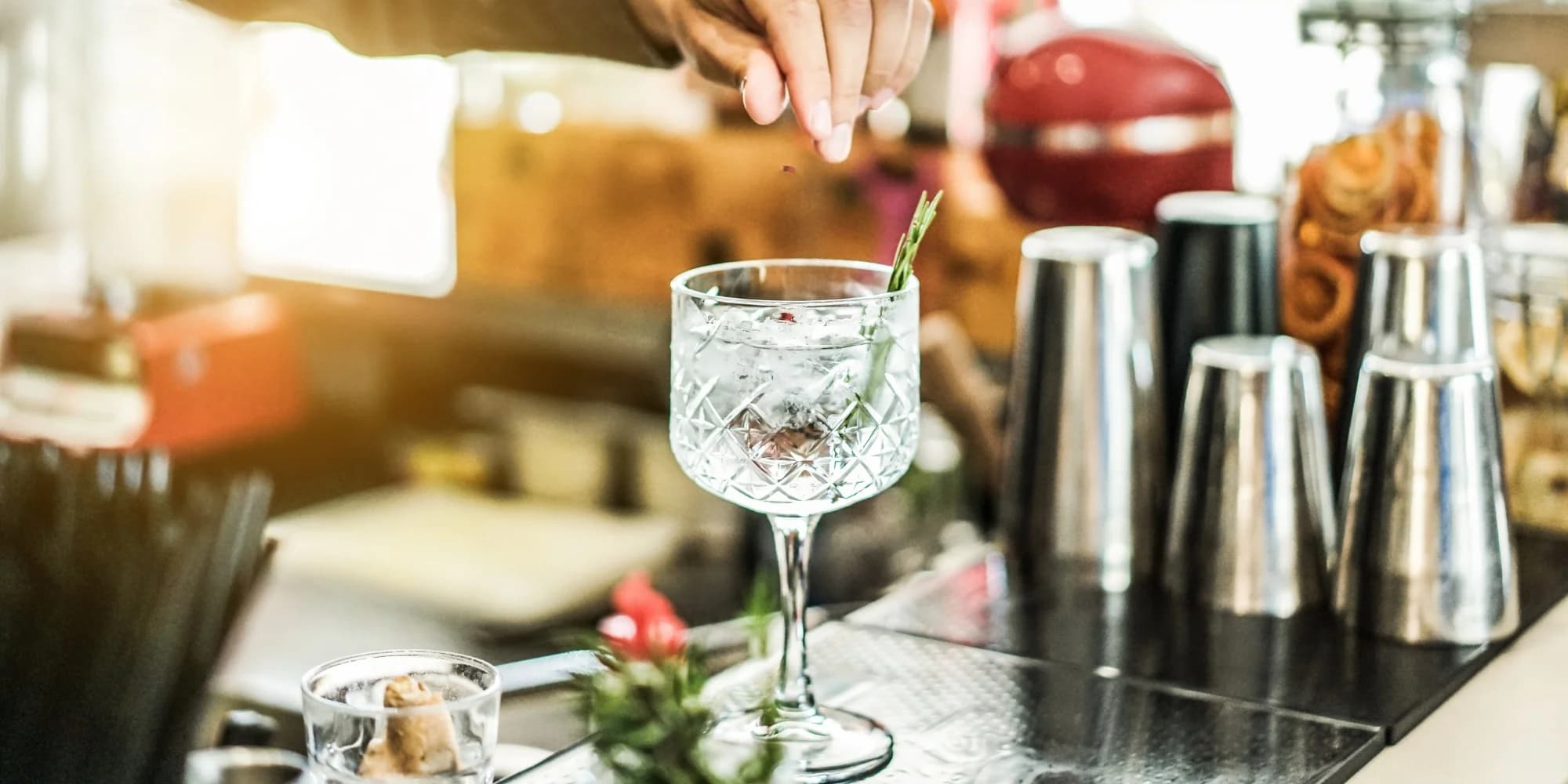 Degustace ginů a párování s toniky včetně odborného výkladu pro 1–4 osoby