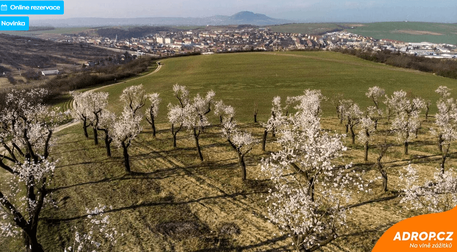 Pobytový balíček hotelu Wine Wellness Hotel Amande: Jsem na dovolené