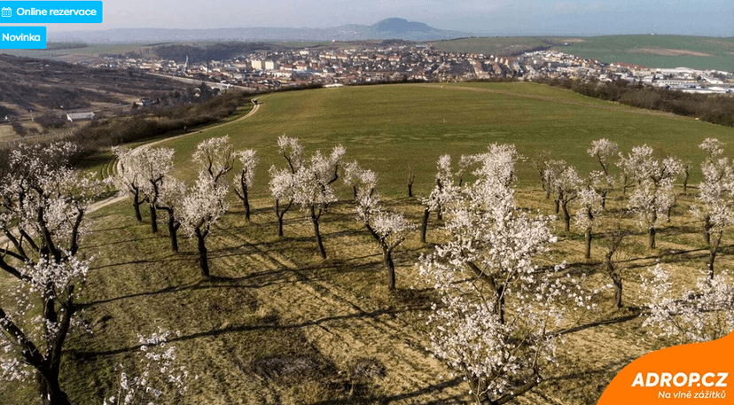 Pobytový balíček hotelu Wine Wellness Hotel Amande: Jsem na dovolené
