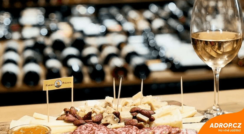 Degustace vín pro 2 s občerstvením + dárkový set vína a sýrů