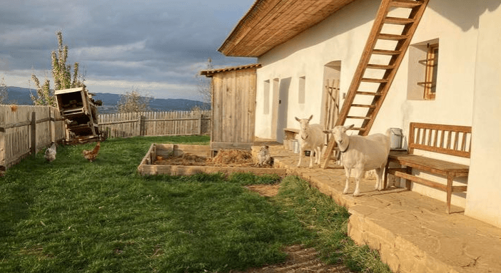 Komentovaná prohlídka skanzenu Rochus