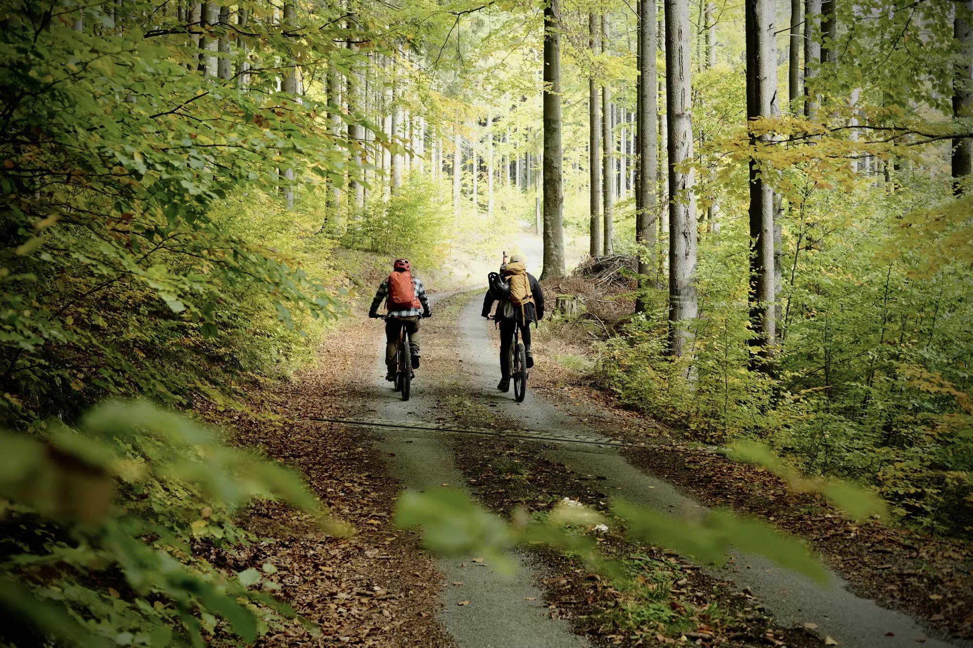 Celodenní e-bike výlet napříč Jeseníky pro 1–6 osob vč. zapůjčení kola