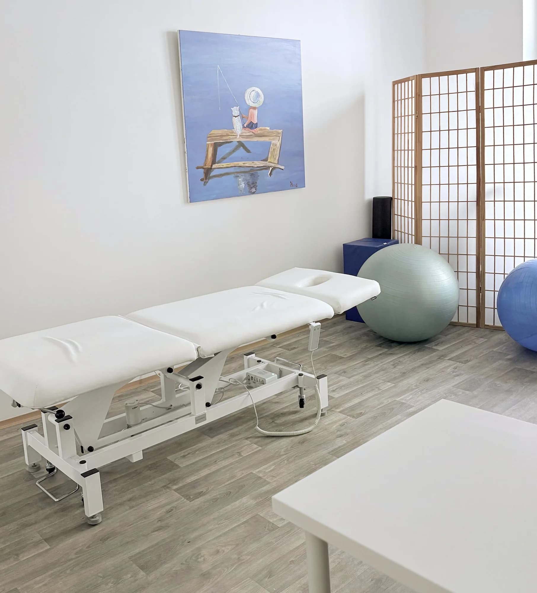 Individuální fyzioterapie: komplexní vstupní vyšetření pohybového aparátu, 45–60 minut