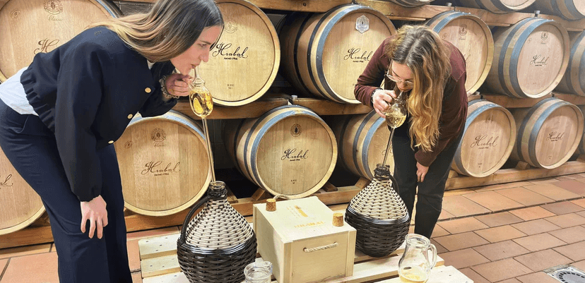 Degustace vín Staň se vinařem: ochutnávka 8 vzorků, bezedný džbán i tvorba vlastního vína 