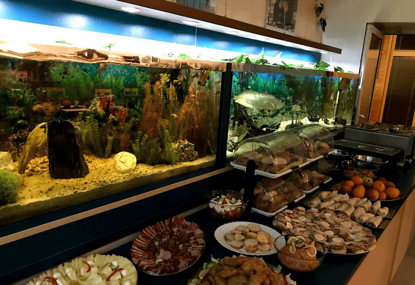 Snězte, co můžete v české restauraci: teplá a studená jídla, řízky, zmrzlina 