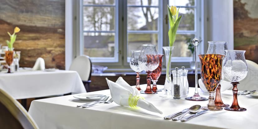 Tříchodové obědové menu v zámecké restauraci Honoria Chateau Herálec*****