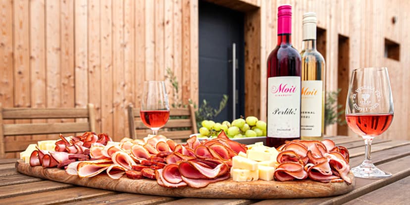 Degustace vín z Kobylí: občerstvení, prohlídka vinařství i piknik ve vinicích
