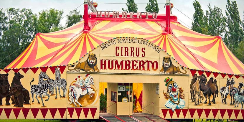 Hurá do Cirkusu Humberto na zbrusu novou show: akrobati, klauni i exotická zvířata v Berouně