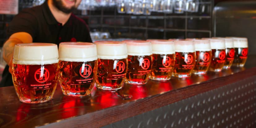 Metr piv Holba Horská 10°: 10 kousků pro celou partu