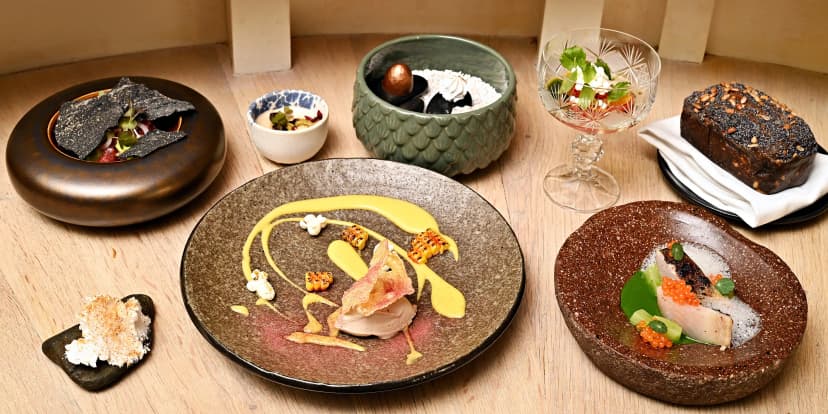 Fine dining 8chod. degustace pro 1-2 osoby i s vinným párováním: kachna i candát