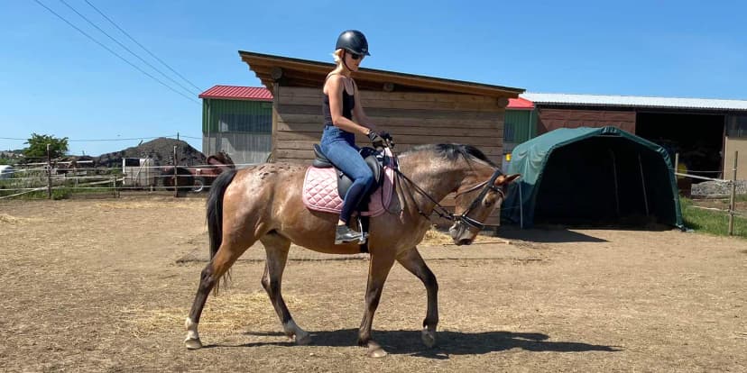 Hodinová projížďka na poníkovi, tažném vozíku či koni na Rodinné farmě Bukovi pro děti i dospělé