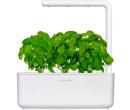 Chytrý květináč Click and Grow Smart Garden 3 | sunnysoft.cz