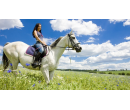 Hodinová projížďka na koni či vozem Rakovník | Nakup v Akci