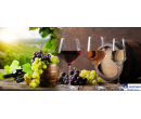 Degustační kurz vína | Slever