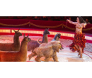 Show cirkusu Bernes - vstupenka | Slevomat