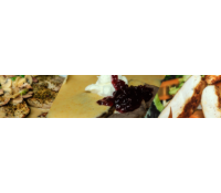 Rozvoz poledních menu zdarma,polévka zdarma - Brno | menurozvoz.cz
