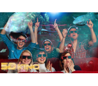 2 vstupenky do 5D kina  | Pepa