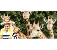 Pojďte v lednu do ZOO! | Radiomat