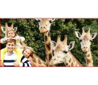Pojďte v březnu do ZOO! | Radiomat