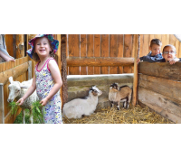 Celodenní vstupenky do minizoo(Kamenice nad Lipou) | Slevomat