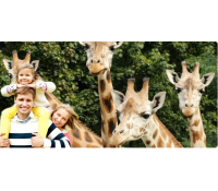 Pojďte v dubnu do ZOO! | Radiomat