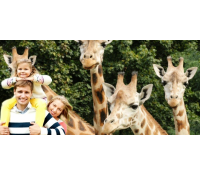 Pojďte v srpnu do ZOO! | Radiomat