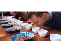 120 min degustace kávy | Slevomat
