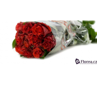 10 prémiových růží El Toro v délce 40 cm | Slevomat