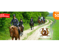 60 minut jízdy na koni v přírodě Podbrdska  | Hyperslevy
