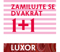 Neoluxor - 1+1 zdarma na vybrané knihy | Neoluxor