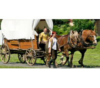 Rodinná jízda koňským povozem na Křivoklátsku | Slevomat