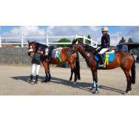 Minikurz jízdy na koni pro začátečníky | Slevomat