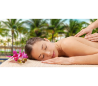 90minutová celotělová havajská masáž Lomi Lomi | Slevomat