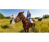 Den plný zážitků s koňmi pro 1 osobu  | Slevomat