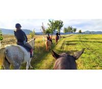 Vyjížďka na koni a prohlídka minizoo | Slevomat