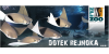 ZOO Zlín | Slevici