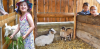 Celodenní vstupenky do minizoo(Kamenice nad Lipou) | Slevomat