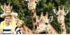 Pojďte v dubnu do ZOO! | Radiomat
