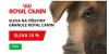 Royal Canin se slevou 10 % | Pesklub